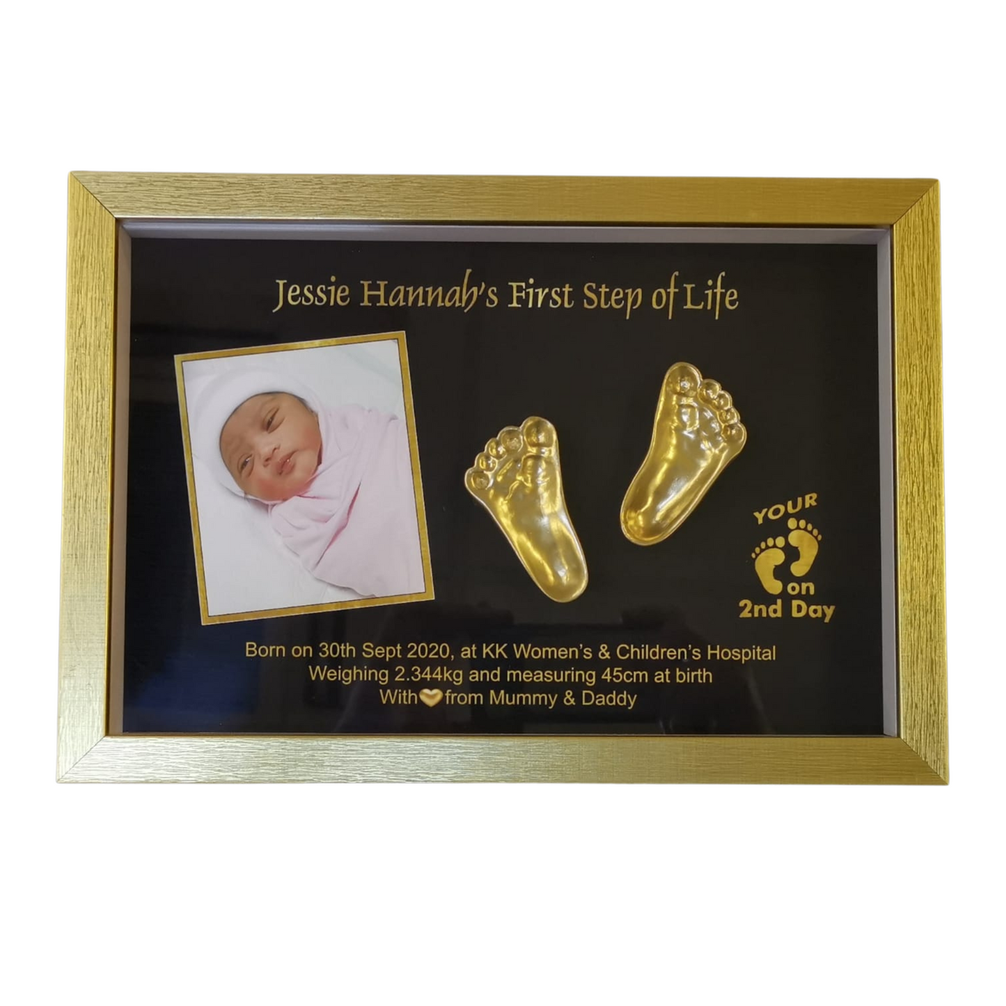 IP2 – 2 impression casts